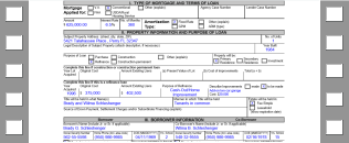 Print Fannie Mae 1003 video